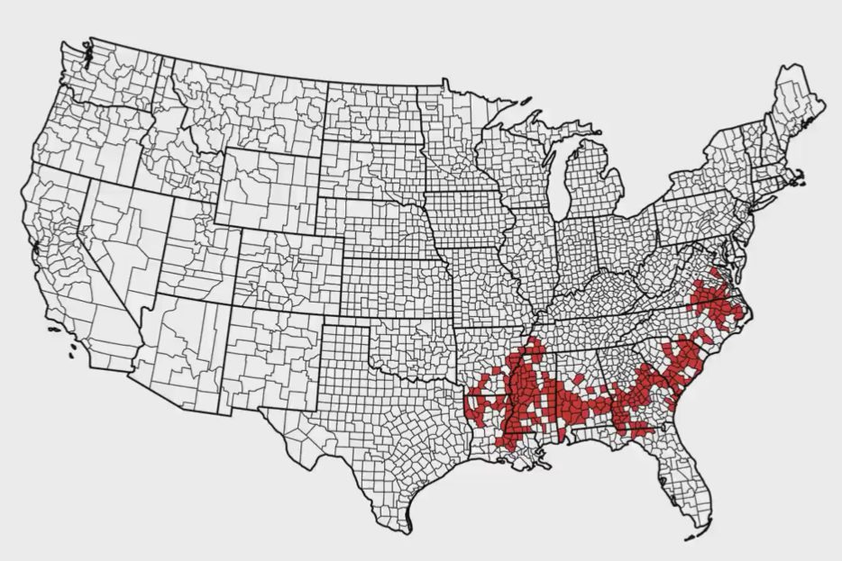 Social Functioning and Depression Associated With Lower Depressive Symptomatology Among Black Belt African Americans Enrolled in the Southeastern Collaboration to Improve Blood Pressure Control Study