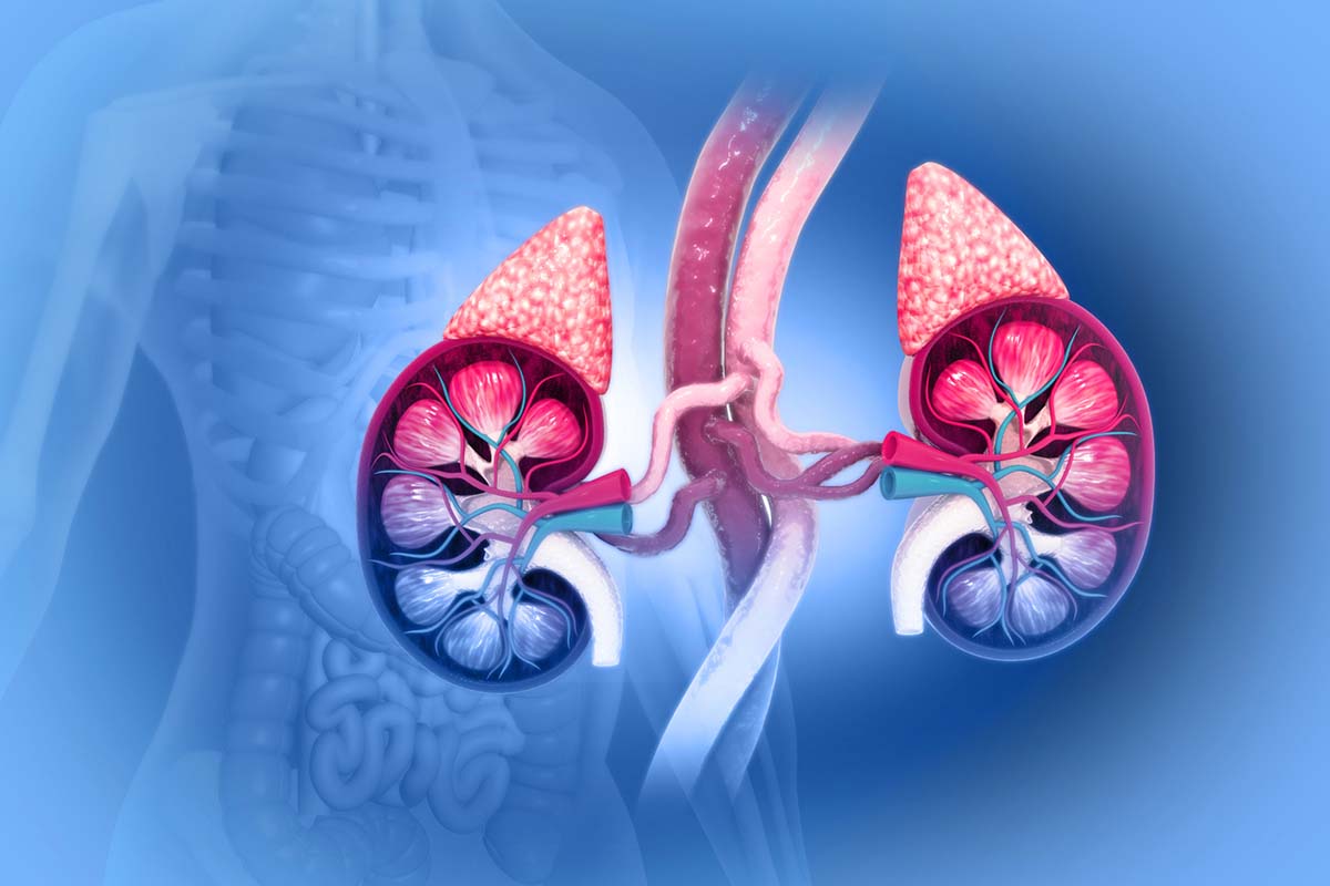 Antidepressant Drug Interaction in the Diagnosis of an Adrenal Tumor