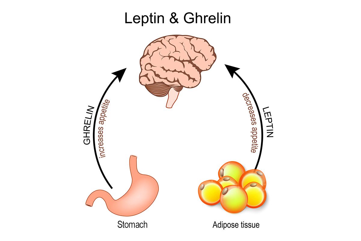 Low Ghrelin and Anxiety in ARFID