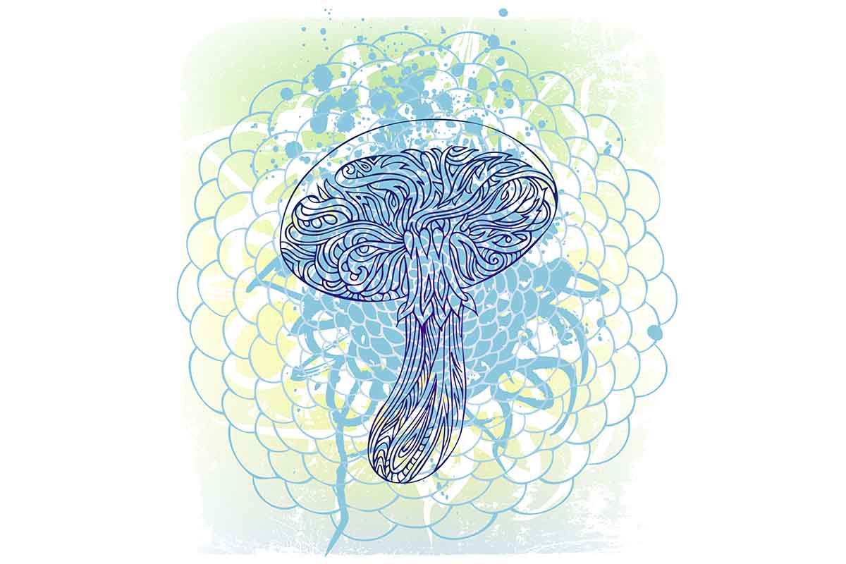 Neurobiological Correlates of Psilocybin Response in MDD