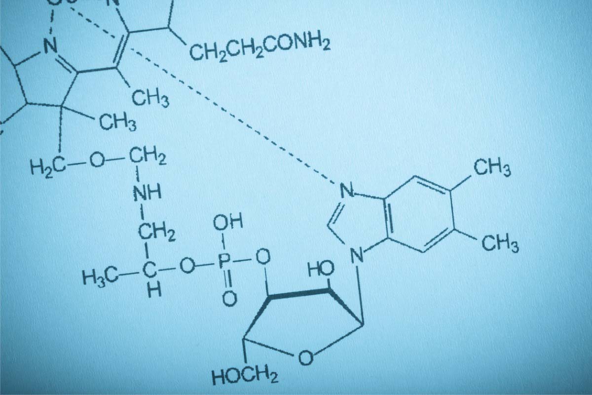 Wernicke’s Encephalopathy in Patients With Psychiatric History